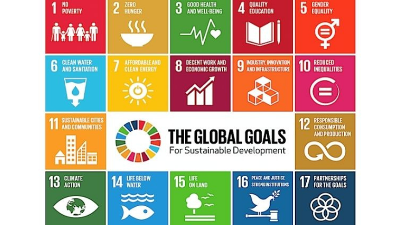 Sustainable Development Goals (SDGs) 
